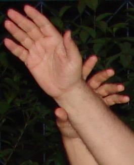 Başarı: Fatma Özkan